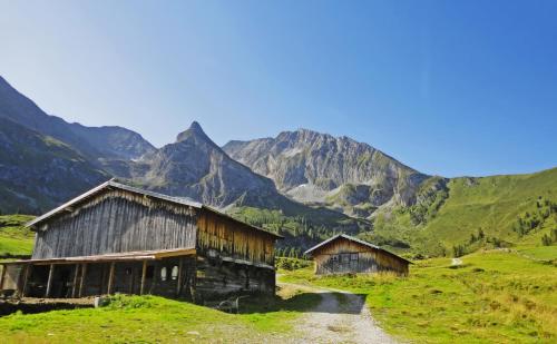 an old barn in a field with mountains in the background at Hotel Pinzger Tux in Tux