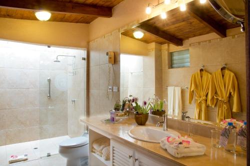 a bathroom with a sink and a shower and a toilet at La Mirage Garden Hotel & Spa in Cotacachi