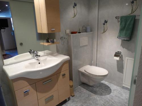 La salle de bains est pourvue d'un lavabo et de toilettes. dans l'établissement Bis Bosserte, à Kollbrunn