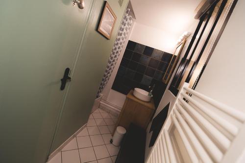 a small bathroom with a shower and a sink at APPART Centre HISTORIQUE CHEZ RENÉ wifi in Troyes