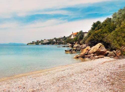 Příroda nedaleko apartmánu