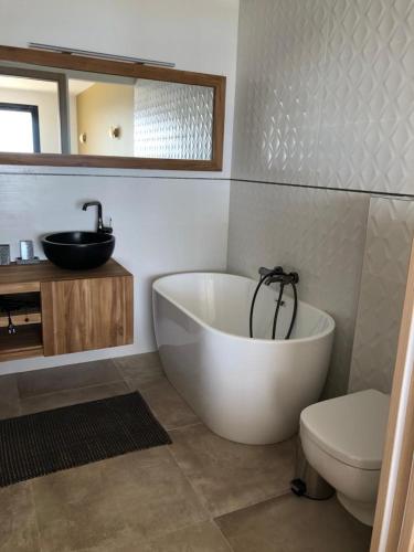 une salle de bain avec une baignoire, des toilettes et un lavabo dans l'établissement villa CACTUS CAVALAIRE, à Cavalaire-sur-Mer