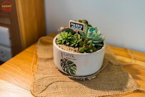 aotted plant sitting on top of a table at Merry House Imperia in Hai Phong