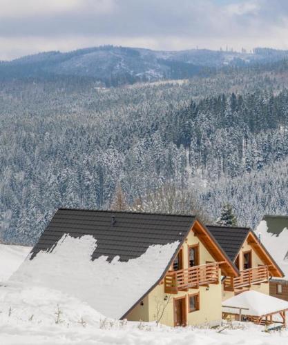 a log cabin with snow on the roof at Domek u Małysza Istebna in Istebna