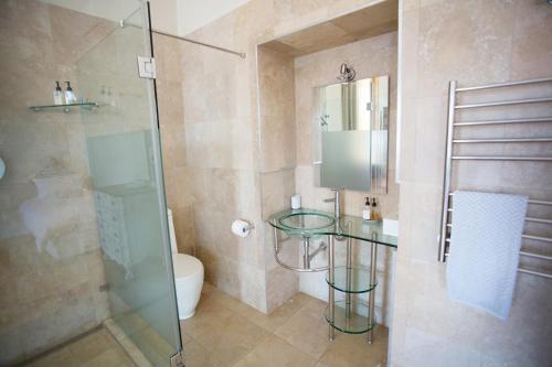 a bathroom with a glass shower and a toilet at Beckhuis in Worcester