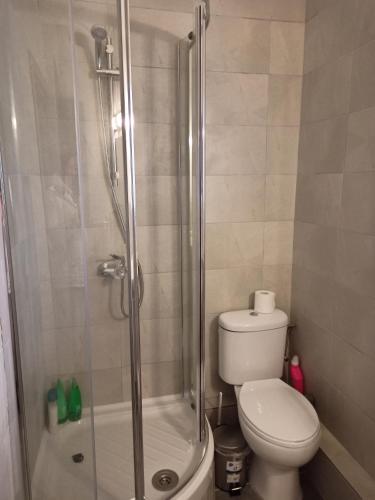 a bathroom with a toilet and a glass shower at Studio in the center of Nicosia in Nicosia