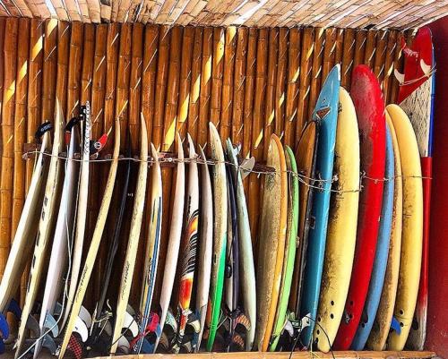 un montón de tablas de surf alineadas en una pared en Surf House Chicama en Puerto Chicama