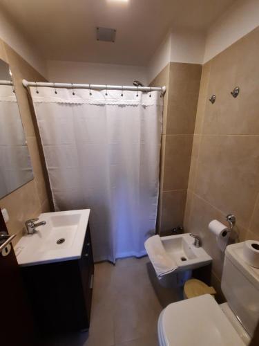 y baño con lavabo, aseo y ducha. en Departamentos Ushuaia Centro by Hotel Austral en Ushuaia