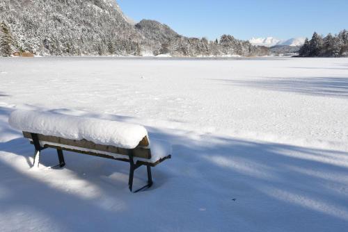 a bench sitting in the middle of a snow covered field at Das Haus Steger zu Stein in Kramsach