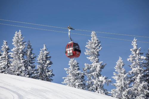 a ski lift over a snowy slope with snow covered trees at Das Haus Steger zu Stein in Kramsach
