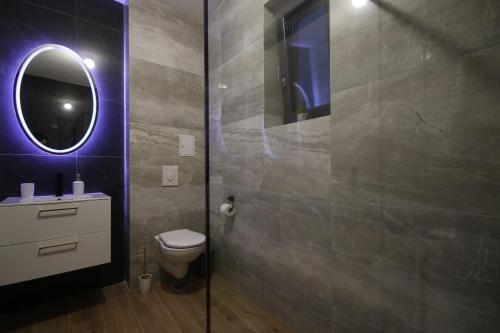a bathroom with a toilet and a mirror at LIANE BOUTIQUE HOTEL in Câmpulung Moldovenesc