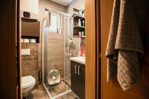 Un pequeño baño con ducha y WC. en WOLF apartments, en Jahorina