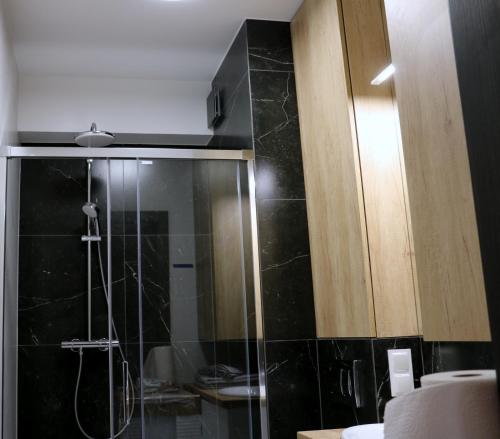 a bathroom with a shower with a glass door at Apartament Nowoczesny in Krynica Morska