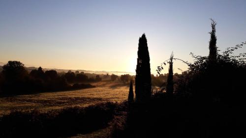 a silhouette of trees in a field with the sunset at Podere Pievina Delle Corti - Dimora di Campagna in Sinalunga