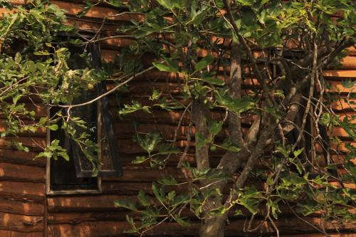 a window on the side of a log cabin at Casa domo San Fabián de Alico in San Fabián de Alico