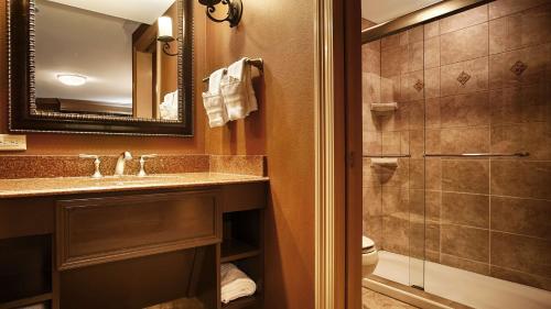 a bathroom with a toilet, sink, and shower stall at Best Western Plus French Quarter Courtyard Hotel in New Orleans