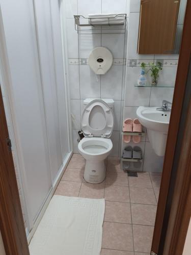a small bathroom with a toilet and a sink at Blakfoot B&B in Taitung City