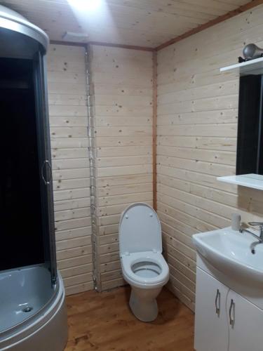 een badkamer met een toilet en een wastafel bij Садиба У Ані номер 4 in Synevyrsʼka Polyana