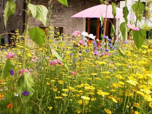 un champ de fleurs devant un bâtiment dans l'établissement Chambres d'hôtes-Les Chambres de Mado, à Margencel