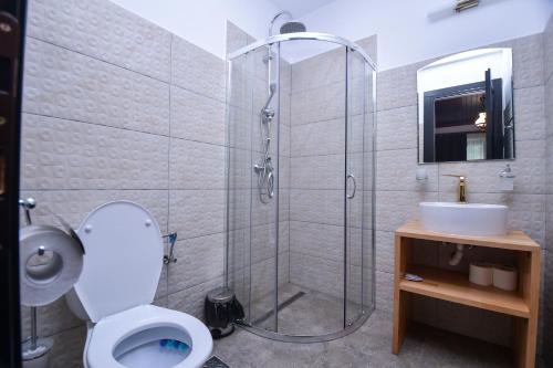 e bagno con doccia, servizi igienici e lavandino. di Piatra Soimului a Vişeu de Sus
