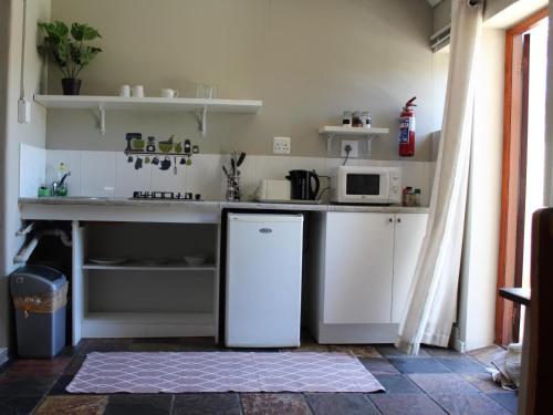 a kitchen with a white refrigerator and a microwave at 4 Elements lodge in Queenstown