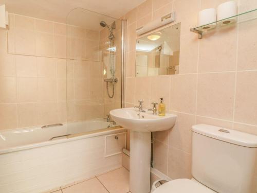een badkamer met een wastafel, een toilet en een douche bij Stable Cottage in Colyton