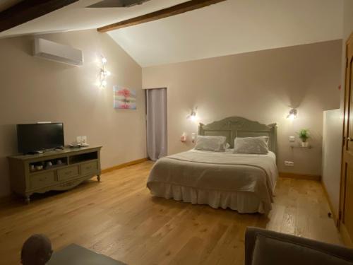 sypialnia z łóżkiem i telewizorem w obiekcie Le Clos du Cèdre w mieście Launac