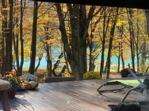 a wooden deck with trees and a view of the water at Luxury Lake House & Glamping in Teşila