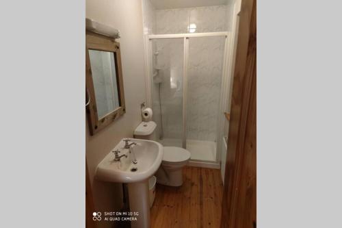 La salle de bains est pourvue d'un lavabo, de toilettes et d'un miroir. dans l'établissement Townhouse 3 Barrow Lane, à Bagenalstown