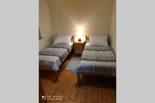 2 camas individuales en una habitación con lámpara en Townhouse 3 Barrow Lane, en Bagenalstown