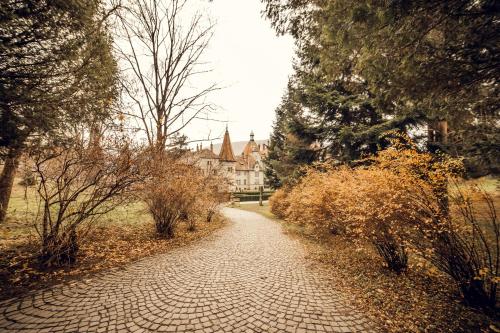 a cobblestone path leading to a house in the distance at Кайзервальд Клуб in Karpaty
