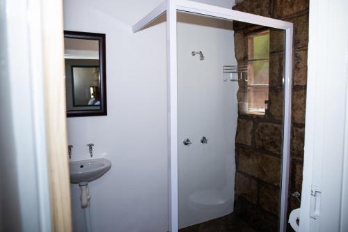 a bathroom with a sink and a toilet and a shower at Boschfontein Mountain Lodge in Ficksburg