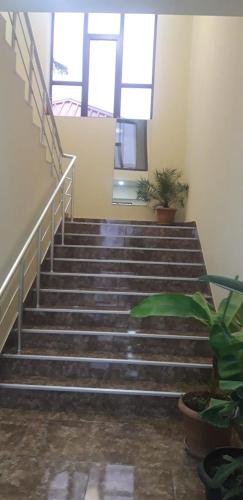 a group of stairs in a building with plants at комфорт in Marneuli