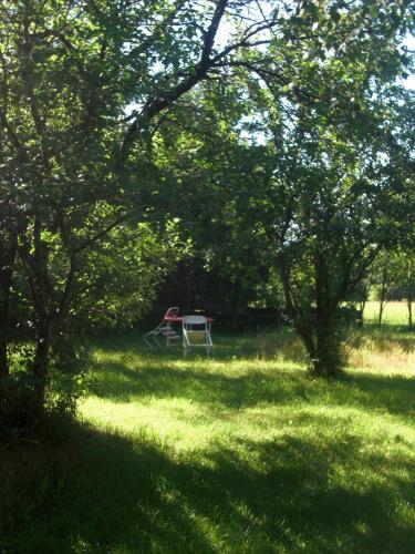 a picnic table in the middle of a field with trees at Naturpark Ferienhaus in Szalafő