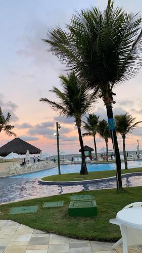 a group of palm trees next to a swimming pool at Beach class muro alto in Porto De Galinhas