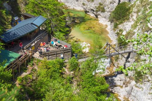 a group of people standing on a bridge over a river at Apartment Erlauf - Ursprung, - 6 Personen, Outdoorsauna mit Bachzugang in Mitterbach