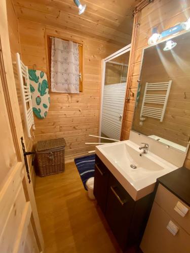 a bathroom with a sink and a mirror at Chalet des Moineaux in Saint-Laurent-en-Grandvaux