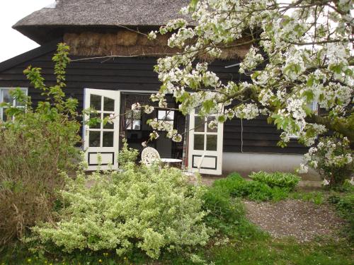 Un jardín fuera de Cornucopia Cottage