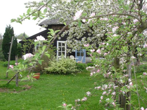 Cornucopia Cottage – Photos 5