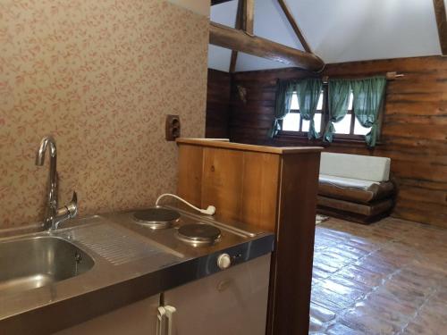 a kitchen with a sink and a couch in a room at Apartman Trebević Dolina mira in Pale
