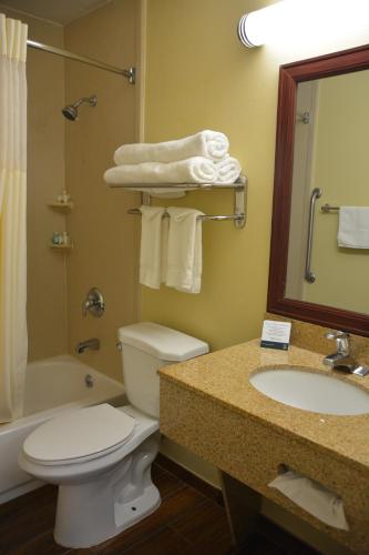 Ένα μπάνιο στο Quality Inn & Suites Dublin