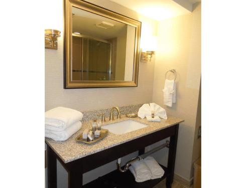 a bathroom with a sink with a mirror and towels at Hotel Ithaca in Ithaca