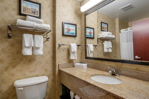 Ванная комната в Comfort Inn & Suites Cambridge