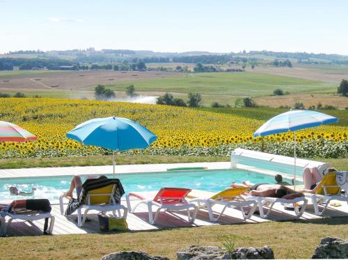 - un groupe de personnes dormant dans des chaises et des parasols au bord d'une piscine dans l'établissement Chalet avec vue sur la montagne à Pauilhac + piscine partagée, à Pauilhac