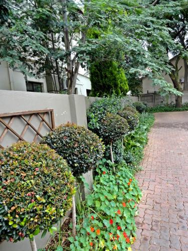 Taman di luar Constantia Manor Guest House
