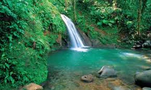 a waterfall in the middle of a river at Appartement panoramique Bouillante in Bouillante