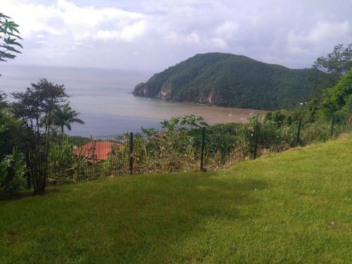 a grassy hill with a view of a beach at Appartement panoramique Bouillante in Bouillante