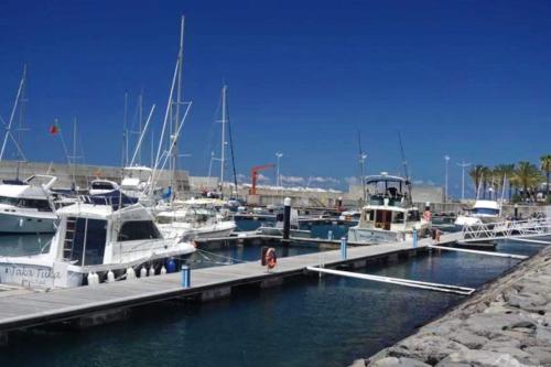 a group of boats docked at a marina at Elegant House in Calheta, Sea View in Calheta