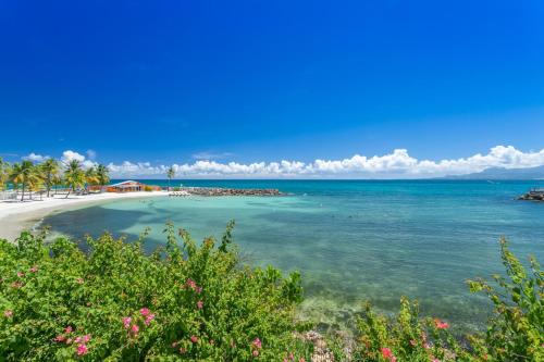 a view of a beach with the ocean at Zenitude Hôtel Résidences Le Salako in Le Gosier