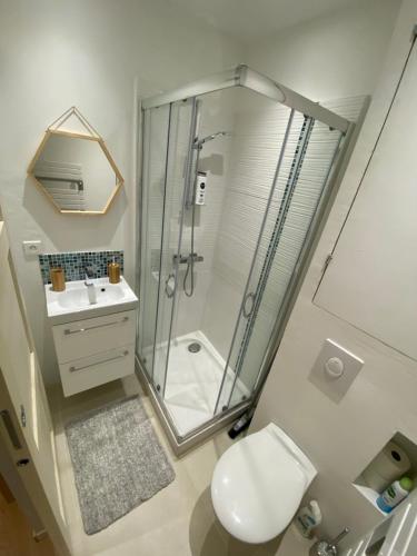 ein Bad mit einer Dusche, einem WC und einem Waschbecken in der Unterkunft Studio très agréable proche de Auron in Saint-Étienne-de-Tinée